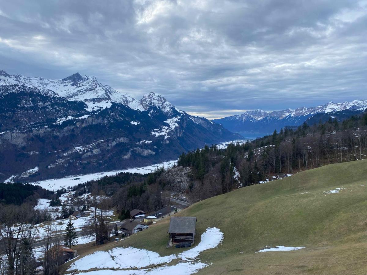 Spring Inn Apartments Meiringen Exterior foto